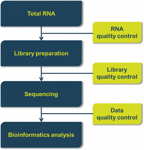 Bacterial RNA Sequencing-Microbialtec Research