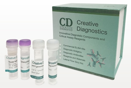 Rapid Test Kits at  Creative Diagnostics